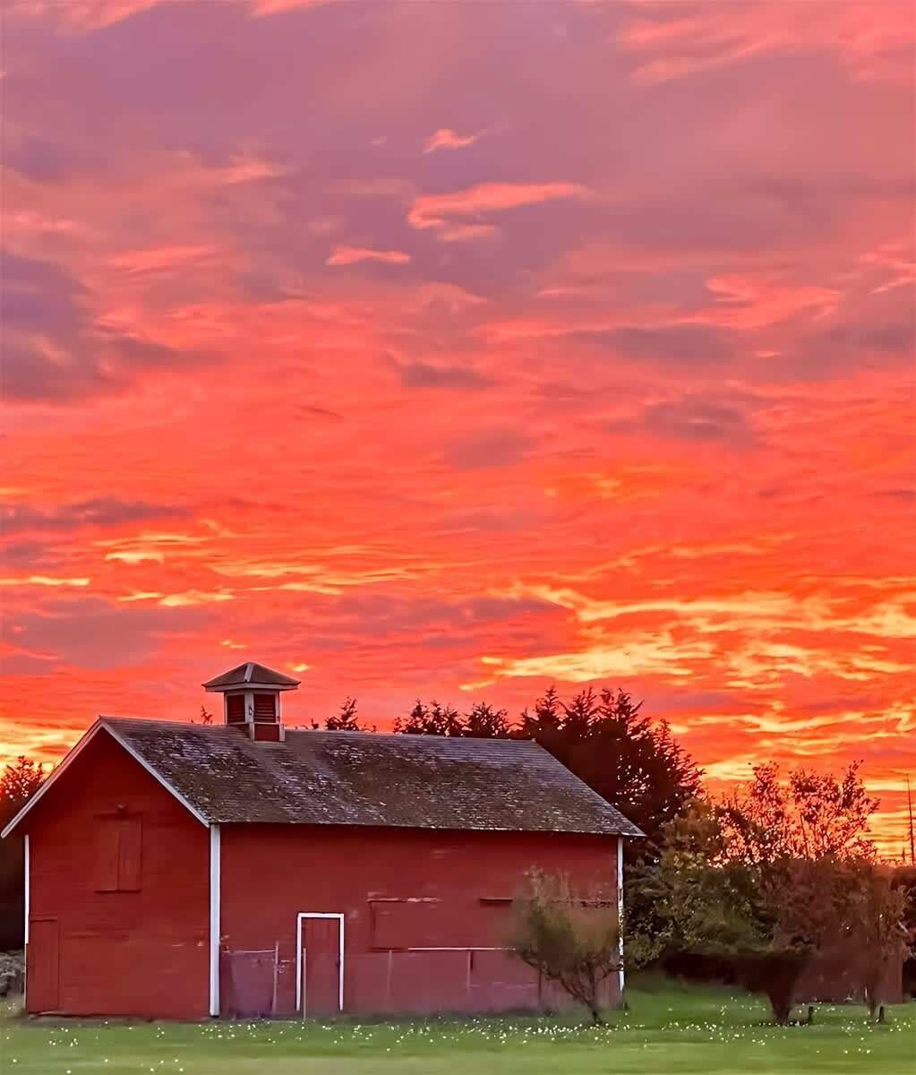 Ein rotes Bauernhaus mit Schornstein, umgeben von Bäumen und Gras.