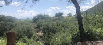 Starr Pass 76 Desert Oasis