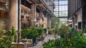Un espacio interior amplio con techos altos, ventanas grandes y diversas opciones de asiento rodeado de abundante vegetación.