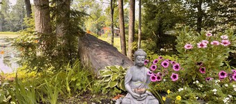 A peaceful family and dog-friendly getaway in the Northwoods