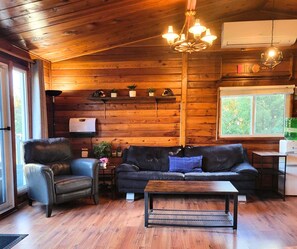 Smart TV, fireplace, DVD player