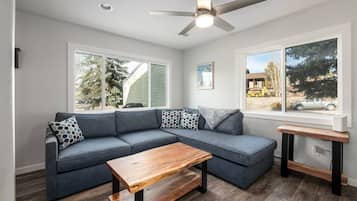 Smart TV, fireplace, books