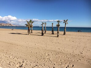 بالقرب من الشاطئ