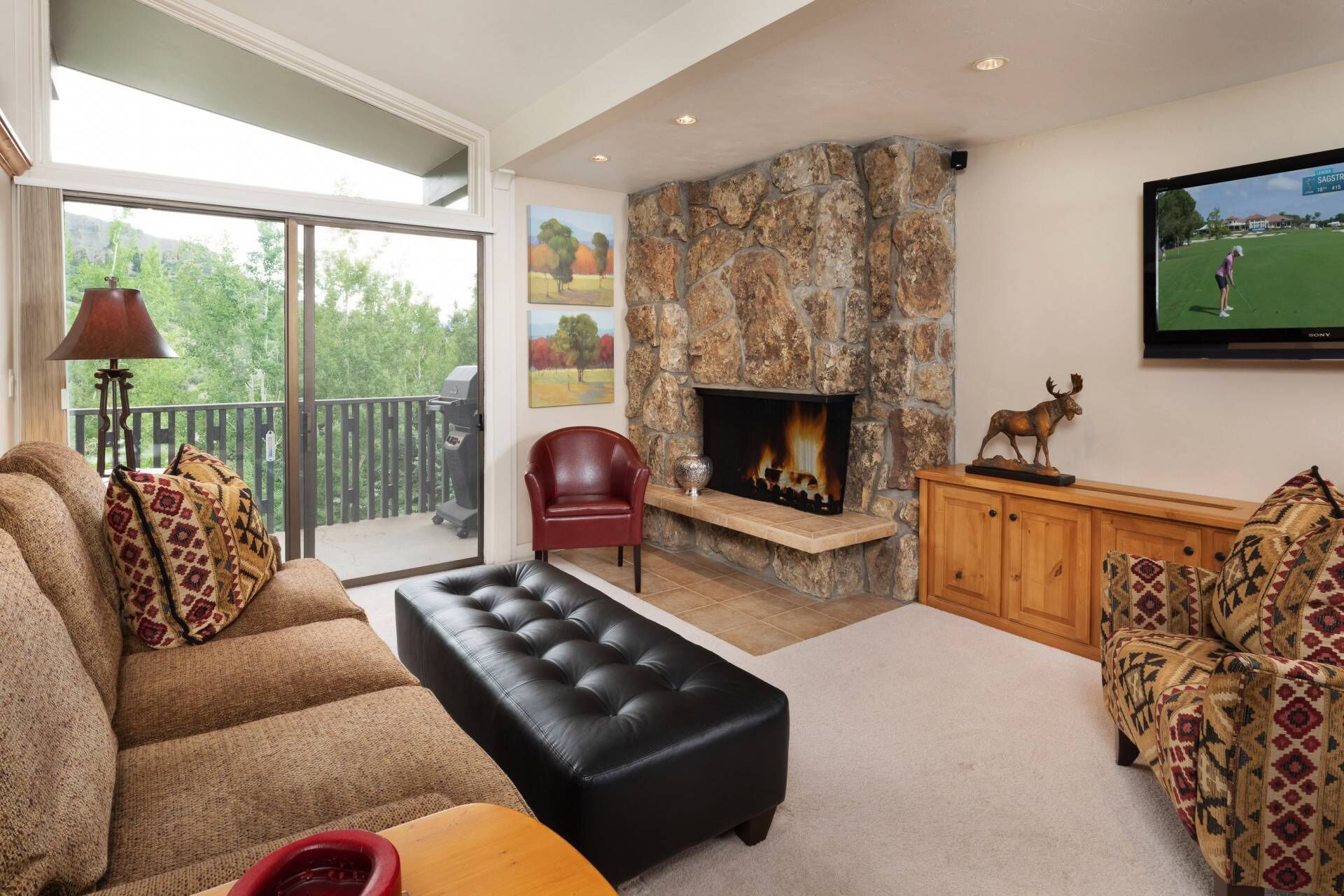 TV, fireplace, DVD player