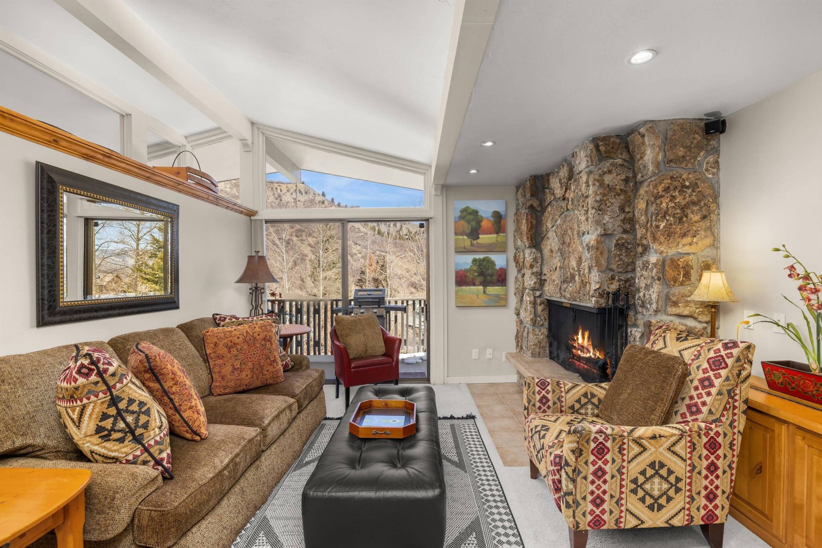 TV, fireplace, DVD player