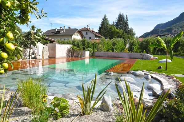 A swimming pool with clear water, surrounded by rocks and plants, with houses and mountains in the background.