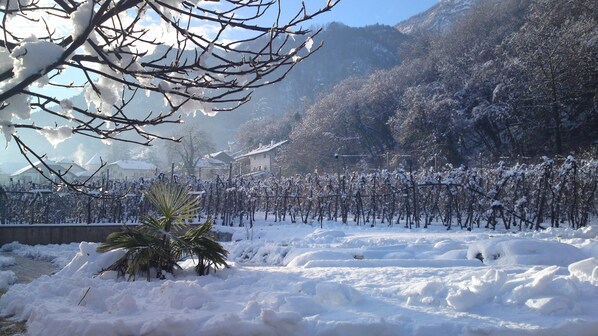 Área da propriedade