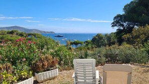 Property grounds - Vacation Home Casa Country with Sea View, Garden & Terrace (Capoliveri)