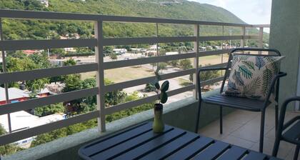 2 bed 2 bath apartment exactly across from the National Stadium/Arena