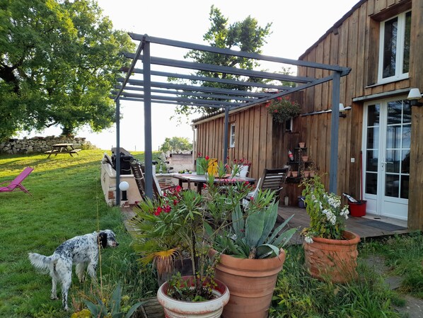 A wooden house with a patio area, a pergola, and a dog.