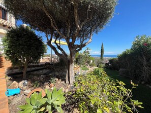 A garden with a large tree, various plants, and a view of the sea.