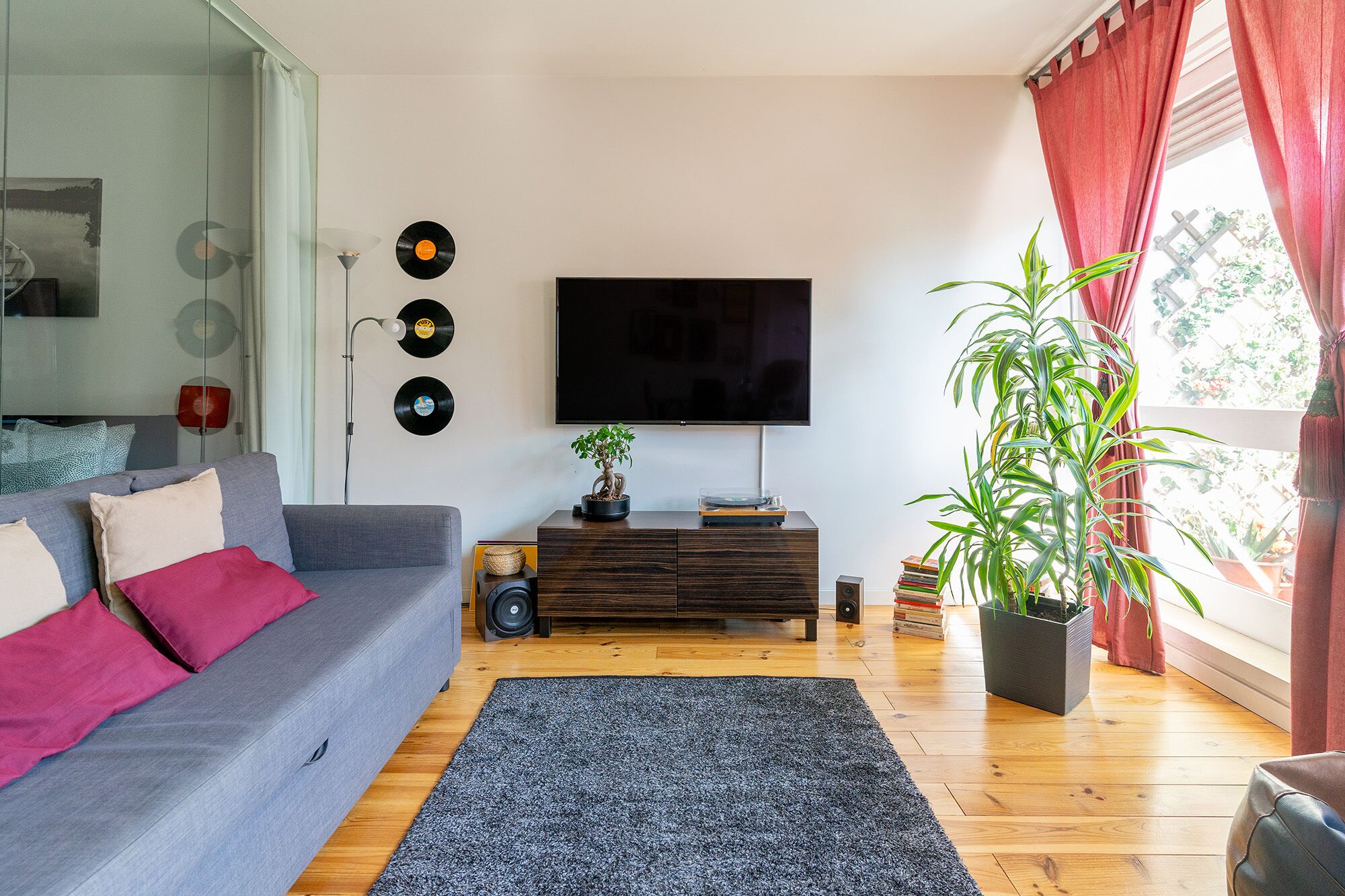 Un salon moderne avec un canapé gris, un tapis noir, un meuble TV en bois, un téléviseur à écran plat et une plante en pot.