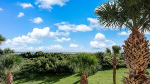 A lush green lawn with palm trees and dense shrubbery. - Private balcony overlooking the beach! (Tybee Island)