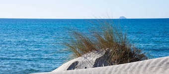 Il lentischio