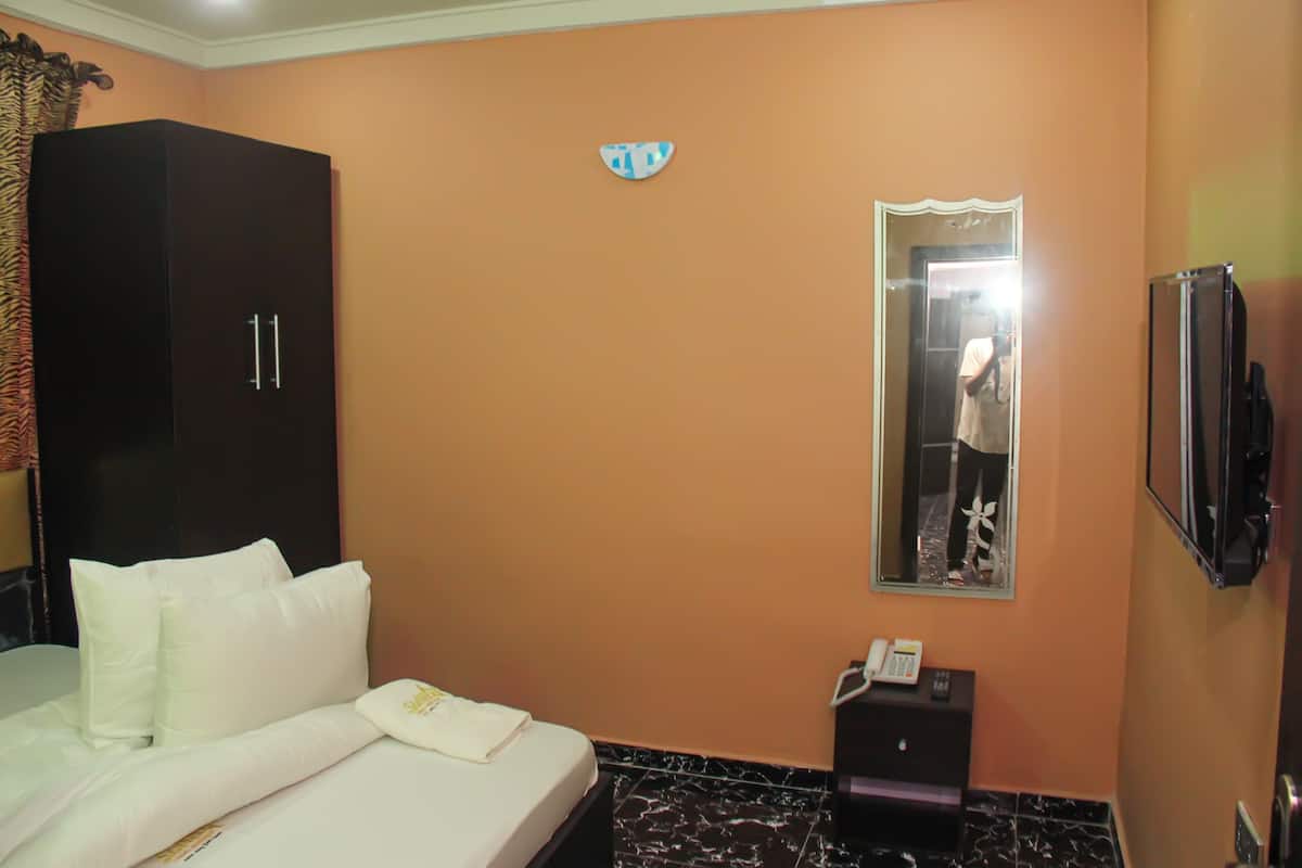 A hotel room with a bed, a wardrobe, a mirror, a telephone, and a television.