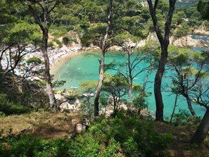 靠近海滩、沙滩椅、沙滩毛巾