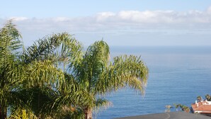 A coastal view with palm trees and a clear sky.