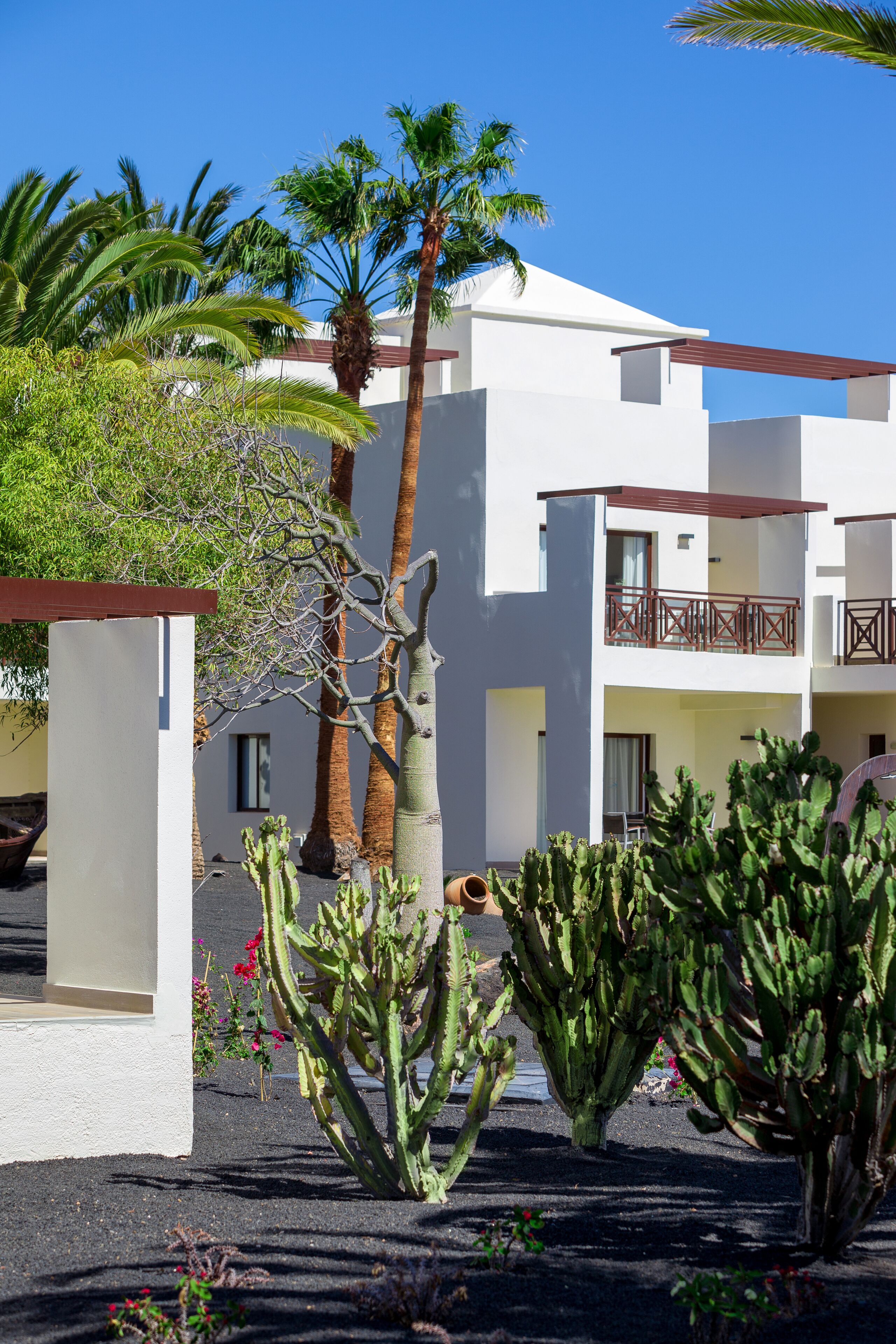 A modern building with a white facade, multiple balconies, and surrounding cacti and palm trees.