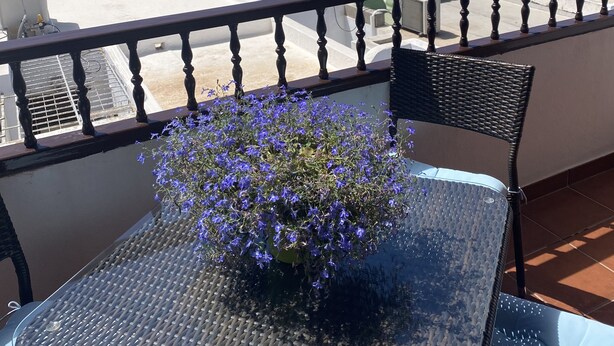 Un balcon avec une table et des chaises, donnant sur une plage bordée de palmiers et sur la mer.