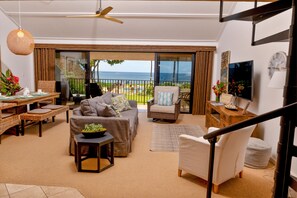 TV, DVD player, books