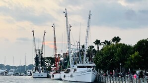 A marina with several yachts docked, surrounded by palm trees and a waterfront promenade.