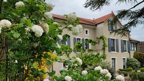 Una casa con jardín que cuenta con arbustos de hortensias blancas y un césped bien cuidado.
