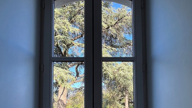 Puertas dobles con vista a un jardín y árboles.