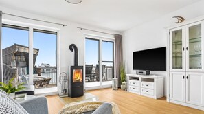 تلفزيون، مدفأة، مشغل دي في دي، مكتبة فيديو