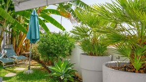 Un jardín con diversas plantas, entre ellas palmeras y un arbusto pequeño, una sombrilla azul y una silla.