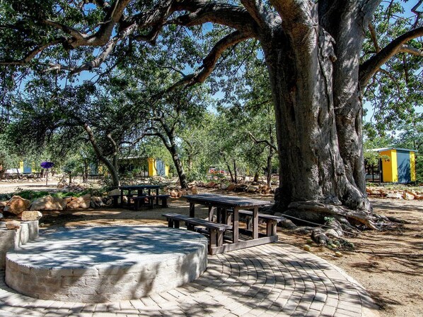 Garden - SleepOver Beitbridge (Musina)