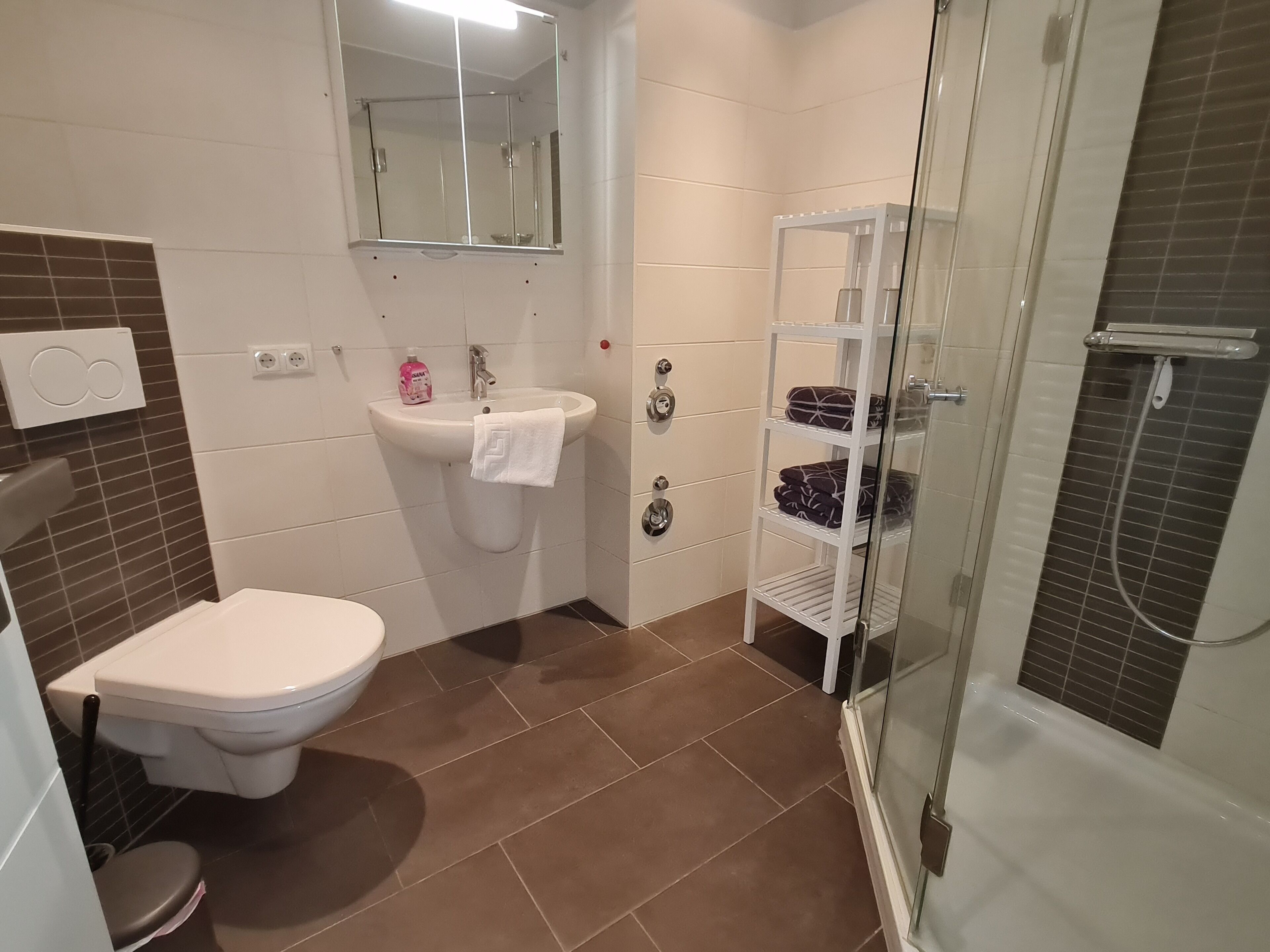 Dusche, Haartrockner, Handtücher, Toilettenpapier