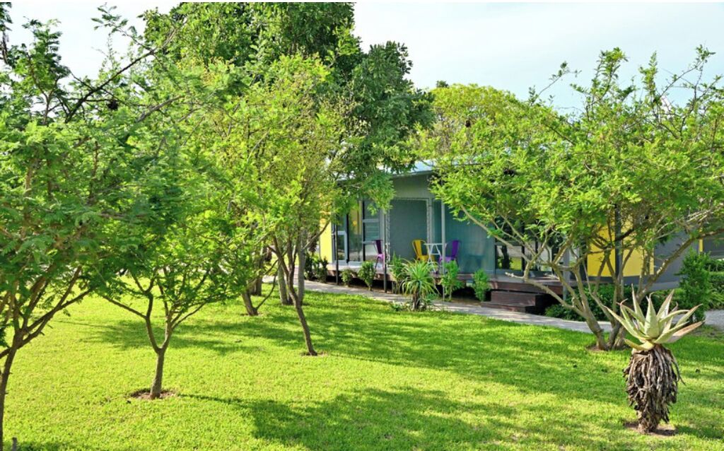 Blick auf den Garten