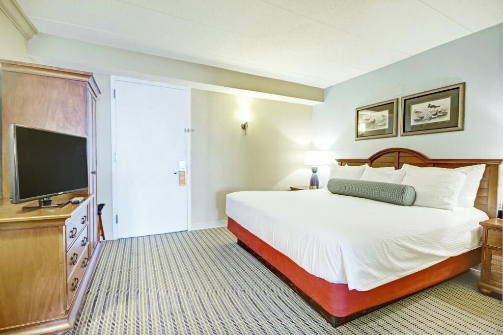 1 chambre, coffres-forts dans les chambres, fer et planche à repasser