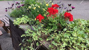 A flower bed with red and purple flowers, a wooden bench, and a paved area. - The Cheney Arms (Leicester)