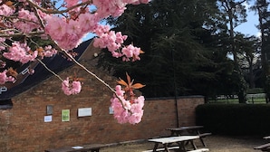 Cherry blossoms in full bloom, picnic tables, and a brick building with signage. - The Cheney Arms (Leicester)