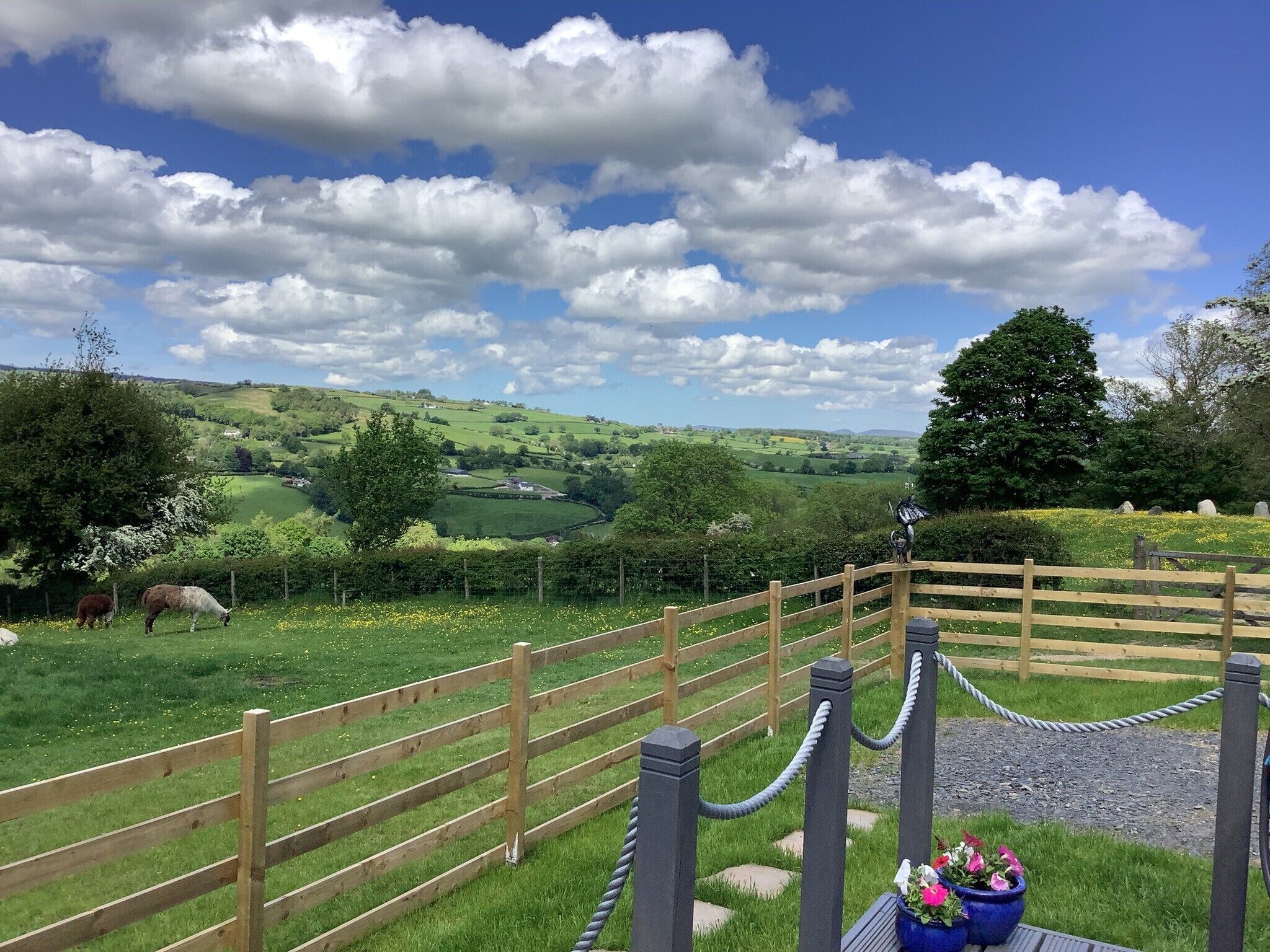 Un paysage rural avec une clôture en bois, un pot de fleurs et un ciel bleu dégagé.