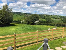 Cabin | Property grounds