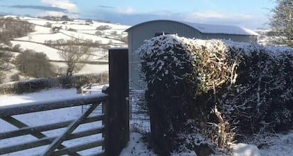 The Shepherds Hut at Hafoty Boeth