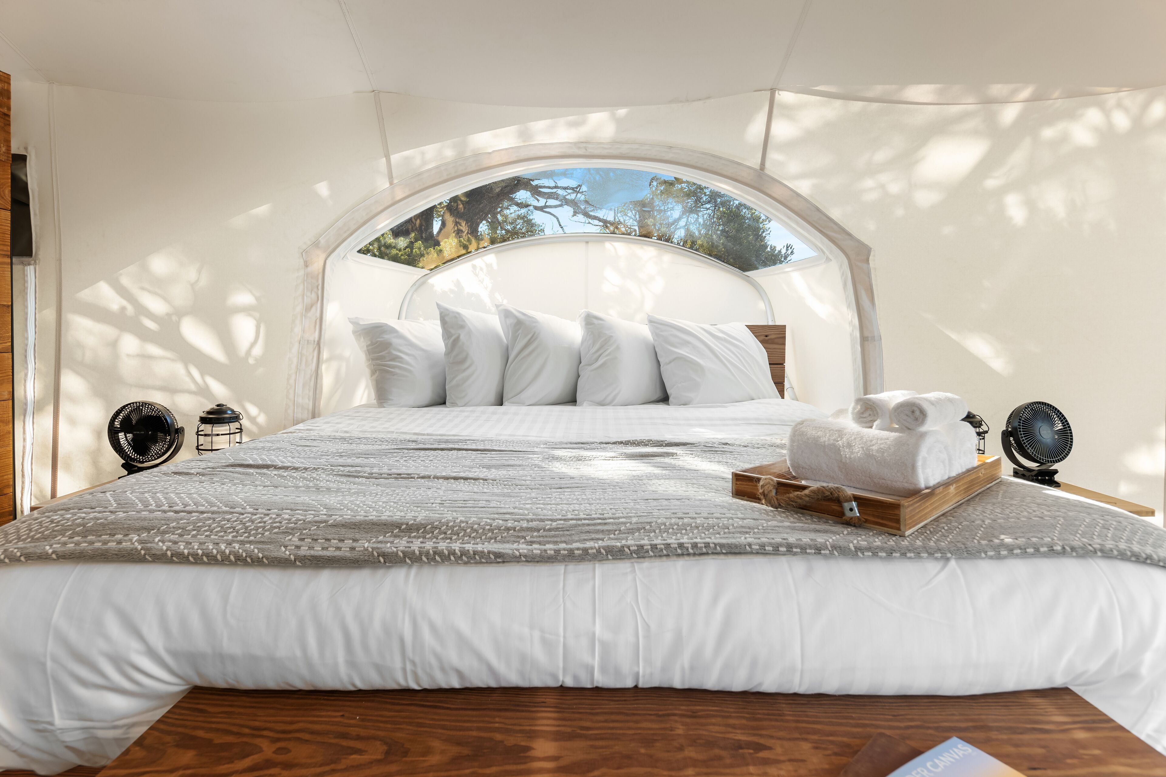 A bed with white bedding, a wooden headboard, and a view of trees through a semi-transparent ceiling.