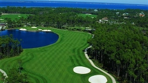 A golf course with a large pond, surrounded by dense trees and a clear view of the ocean. - FREE GOLF CART. private HEATED pool option. Walk to the beach.Sleeps 10! (Destin)