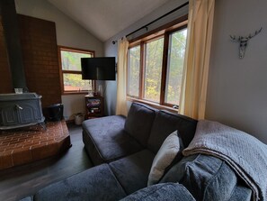 Smart TV, books, stereo, computer monitors - Cozy Cabin in the Woods with a Short walk to the Lake, ORV Trails, and Skiing! (Elmira)