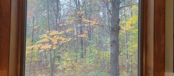 Cozy Cabin in the Woods with a Short walk to the Lake, ORV Trails, and Skiing!