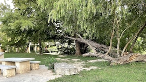 A park with a stone bench, a fallen tree, and a grassy area.