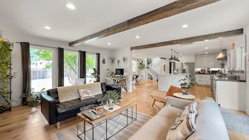 Smart TV, fireplace, books, video library