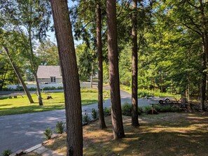 A residential area with a paved driveway, tall trees, and a house in the background.