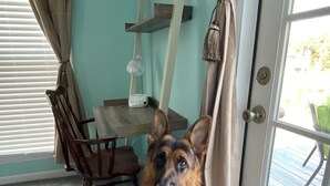 Una habitación con una silla de madera, una mesa y un perro sentado junto a un ventanal.