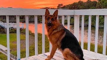 Enceinte de lâhĂ©bergement