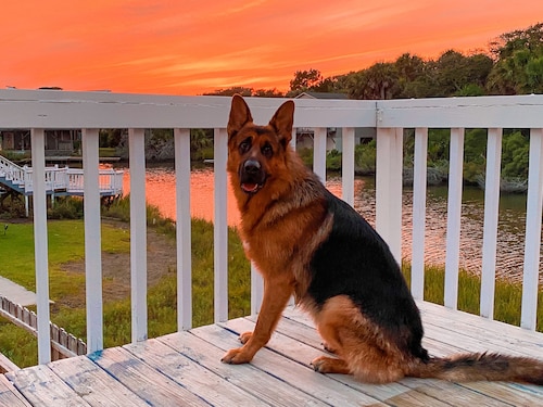 SUMMER OPEN!! Partial OCEAN VIEW! Fenced yard bring doggo. WaterFront DOCK