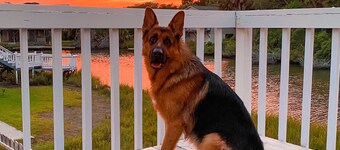 SUMMER OPEN!! Partial OCEAN VIEW! Fenced yard bring doggo. WaterFront DOCK