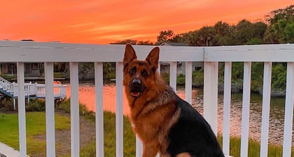 SUMMER OPEN!! Partial OCEAN VIEW! Fenced yard bring doggo. WaterFront DOCK